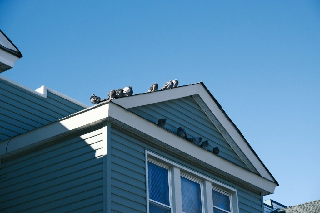 Roof