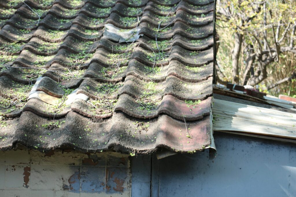 roof inspection