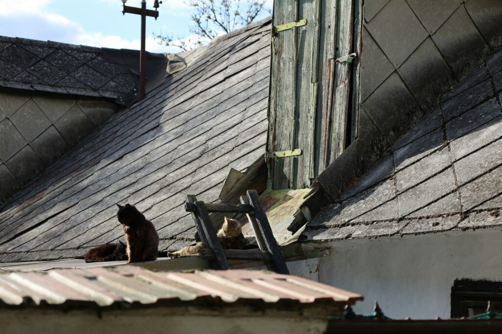 roof damage